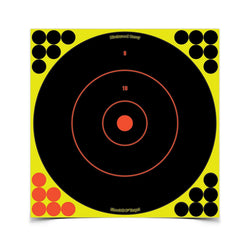 SHOOTNC 12IN BULLSEYE TARGET / 12 TARGETS