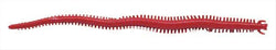 Berkley GSSW6-BY Gulp! Sandworm, 6"10Pk, Bloody